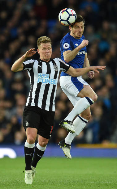 了球迷们的 了球迷们的