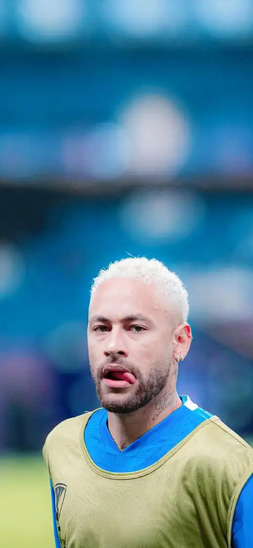 职业意义上 职业意义上